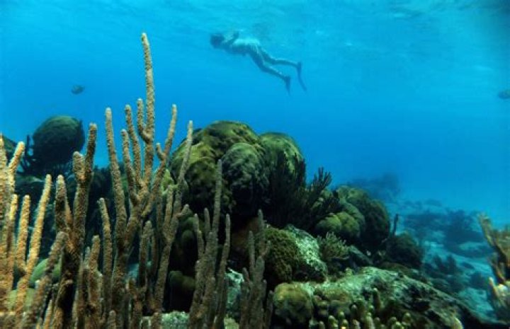 11 Best Caribbean Islands for Adventure