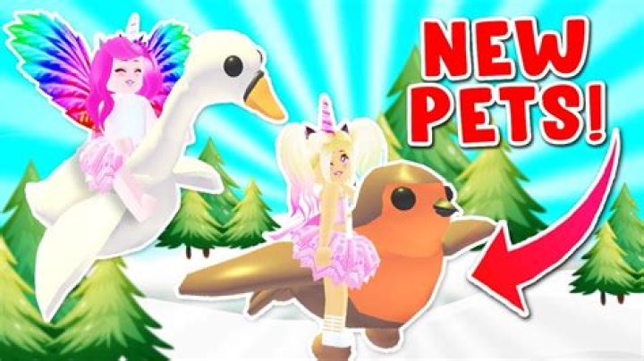 iamSanna Pets - Celebrity Pets