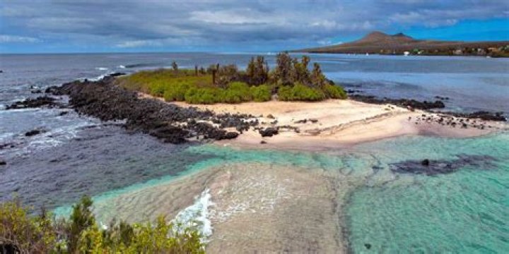 Visit Isla Floreana: Bahia Post Office & Cormorant Point | Celebrity Cruises