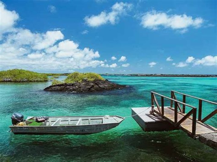 Visit Isla Isabela: Sullivan Bay, Elizabeth Bay, Puerto Villamil, Wall of Tears & More | Celebrity Cruises