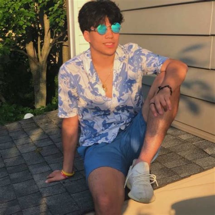 Mattia Polibio 2020 Net Worth Reveal