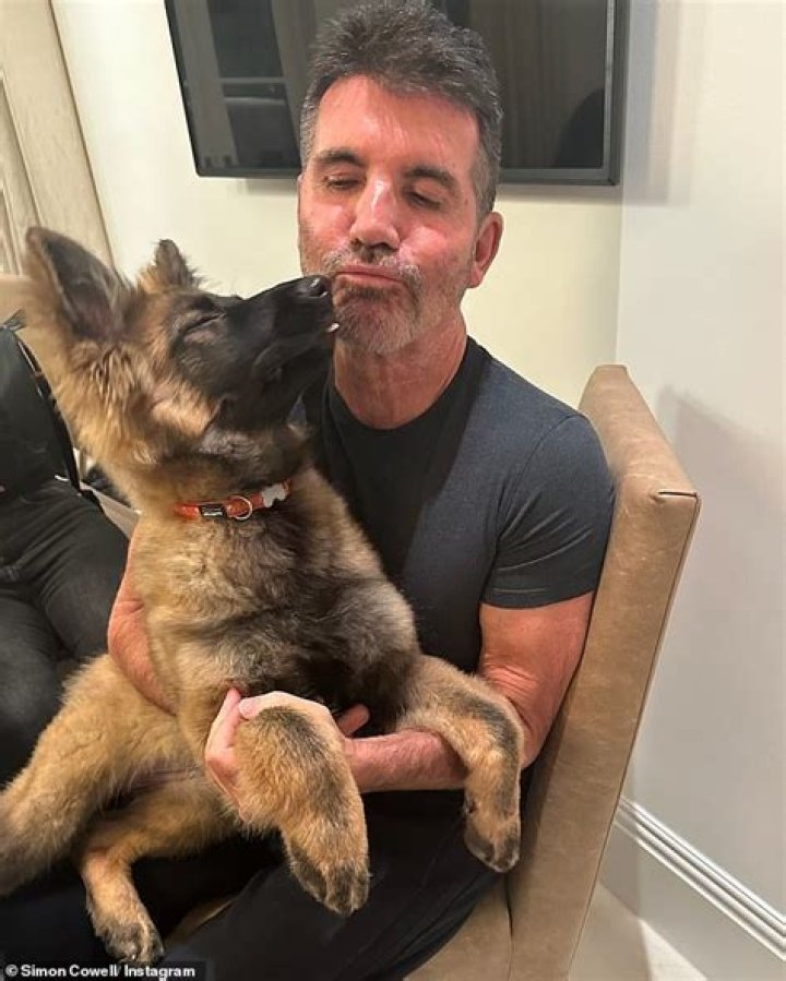 Simon Cowell Reveals His 5th Dog – A German Shepherd Puppy Named Pebbles