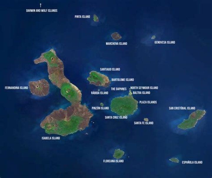 Visit Daphne Islands: Land of Darwin's Finches | Celebrity Cruises