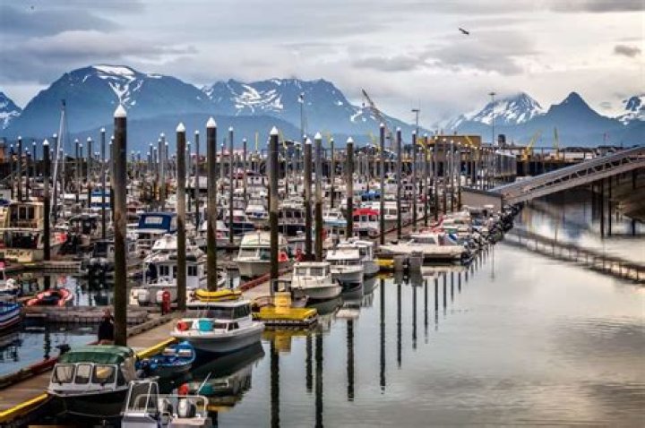 11 Best Things to Do in Homer, Alaska