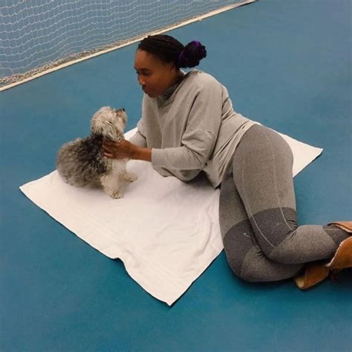 Venus Williams Pets - Celebrity Pets